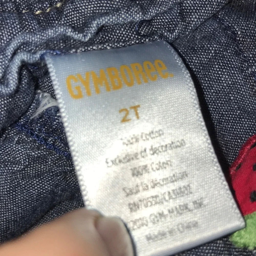 RARE Gymboree 2T Strawberry strap chambray denim ruffle bodice sun dress EUC